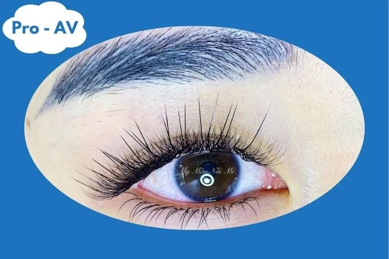 My Mầu Nối Mi - nối mi Lạng Sơn
