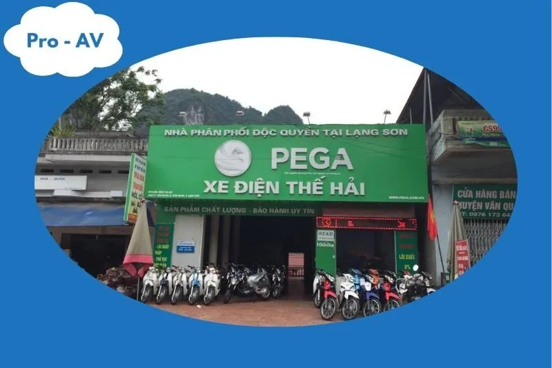 PEGA